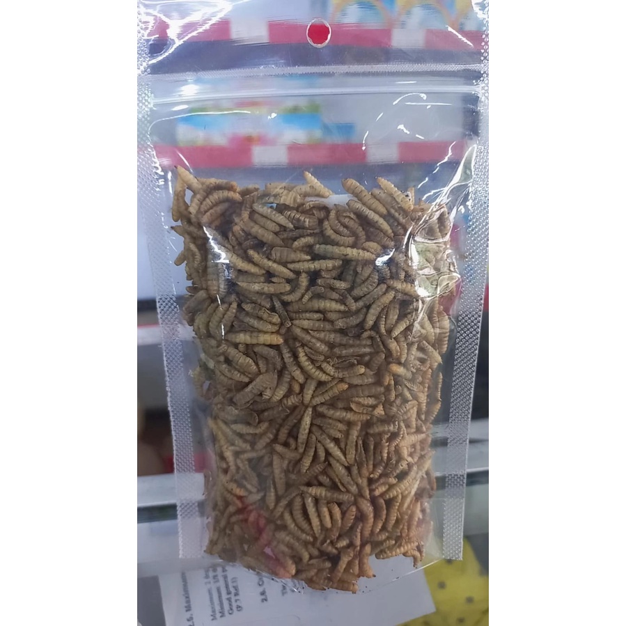 manggot kering repack 50gram/manggot kering pakan hamster dan ikan