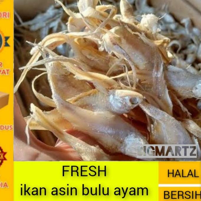 

♦ Ikan Asin Bulu Ayam fresh / bulu ayam super ♦