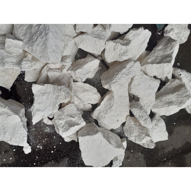 batu kreket merah aquascape putih aquarium