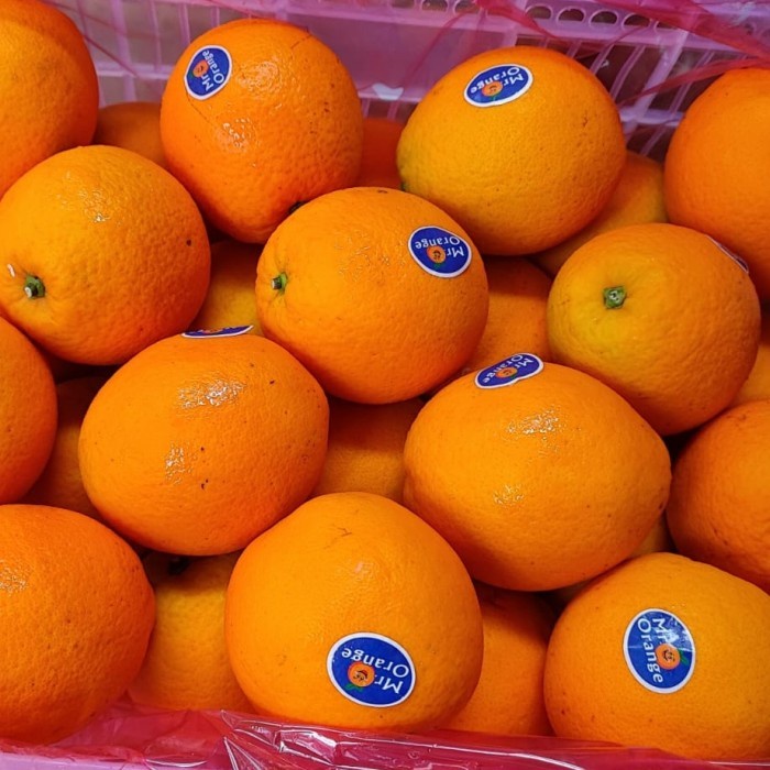 

Jeruk Honey Navel RRC China MR ORANGE IMPORT 1 buah