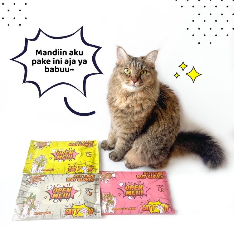 Paket Bundle 3 Pet Wet Gloves Sarung Tangan Mandi Kucing Anjing Kelinci Tanpa Bilas Pet Wet Gloves Tisu Basah Kucing Sarung Tangan Aman Terjilat Sarung Tangan Mandi Kucing Tanpa Air Wet Gloves NO REOG NO RIBET by CATPOW