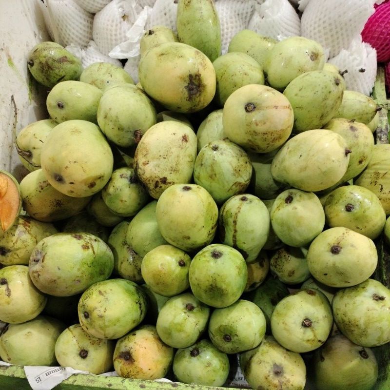 

mangga jawa (1kg)