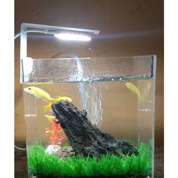 lampu LED jepit soliter/aquarium/aquascape/lampu mini