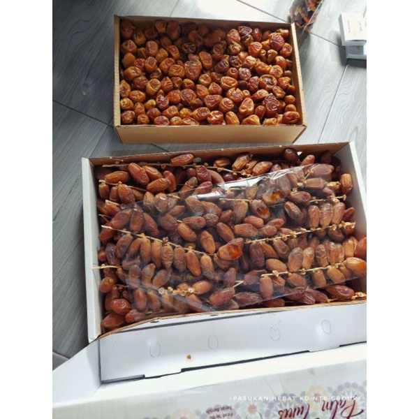

kurma palm tunis tangkai