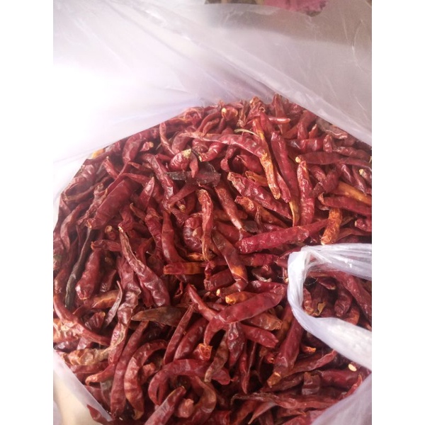 

cabe kiring berkualitas