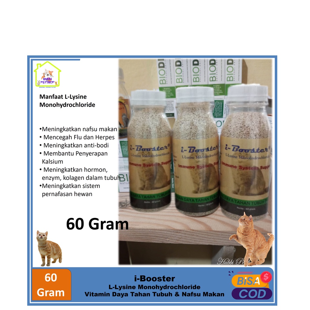 Vitamin Penggemuk Kucing Pelebat Bulu Kucing Obat Penumbuh Bulu Kucing Obat Bulu Kucing Rontok I-booster 60ml-LYSINE LISIN