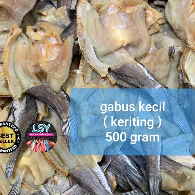 

✦ ikan asin gabus kecil keriting super 500gr ♫