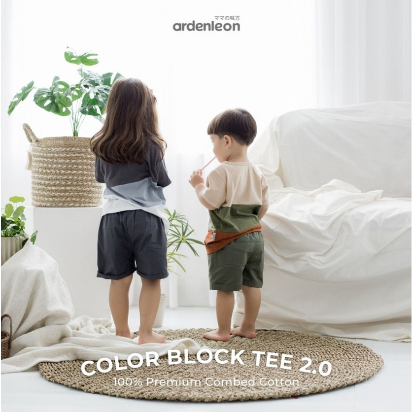 Ardenleon Color Block Tee 6M - 7Y Kaos Stripe Mix Color Anak Unisex CBKS