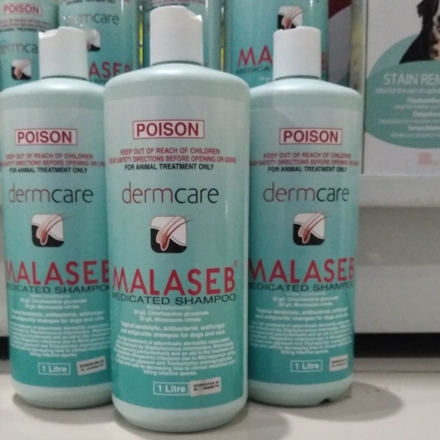 sampo jamur malaseb/shampo jamur malaseb 1liter - kucing anjing