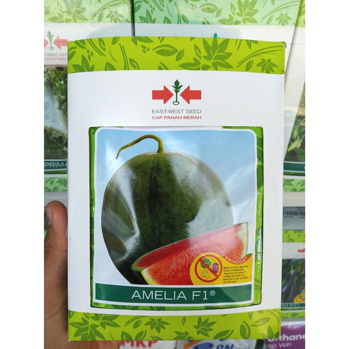 Benih AMELIA F1 (360 Biji) - Bibit Semangka Non Biji Cap Panah Merah