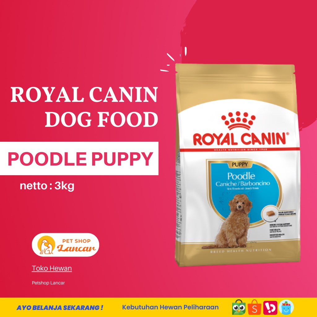 Royal Canin Poodle Junior 3Kg - Makanan Anjing