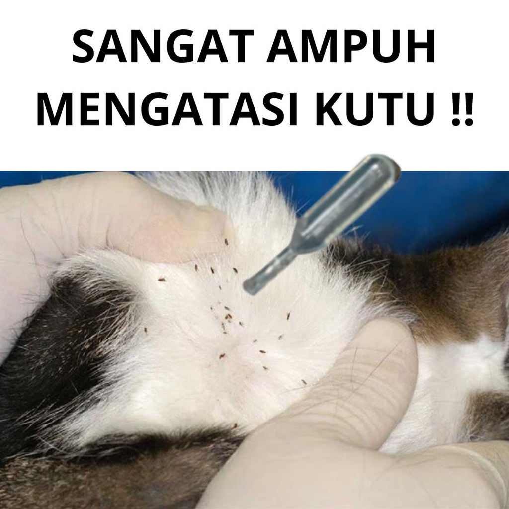 Obat Tetes Anti Kutu Pinjal Anjing Kucing FEFARM