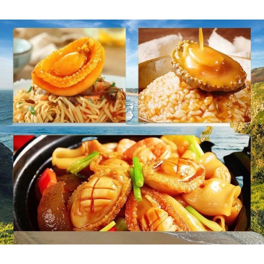 

ABALONE KALENGAN IMPORT DIAMETER 3CM