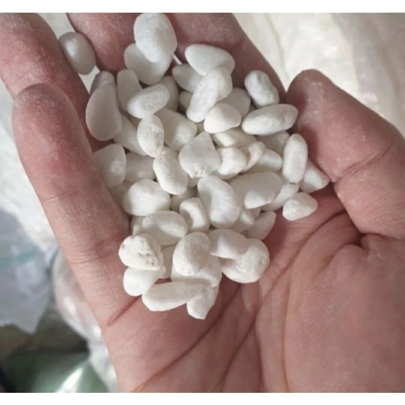 BATU kerikil SALJU PUTIH untuk aquarium/aquascape