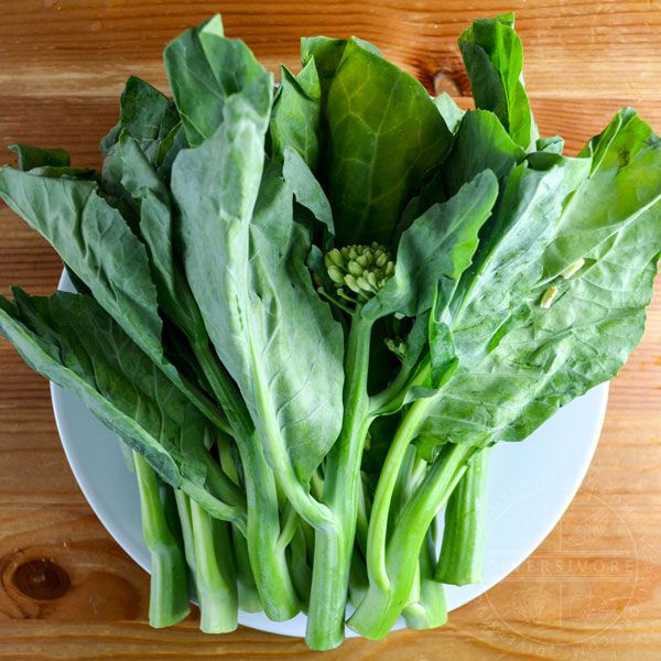 Benih Bibit Biji - Sayur Baby Kailan Curled / Chinese Gai Lan Seeds - Panen Dalam 50 Hari