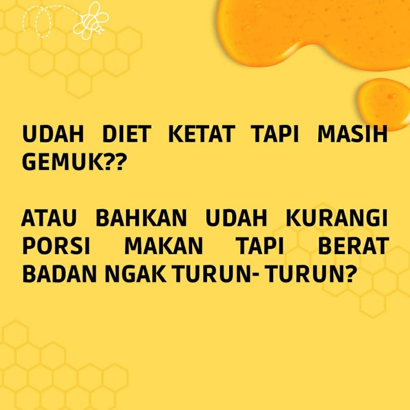 MADU DIET BEESLIM BEE SLIM HERBAL LANGSING ALAMI