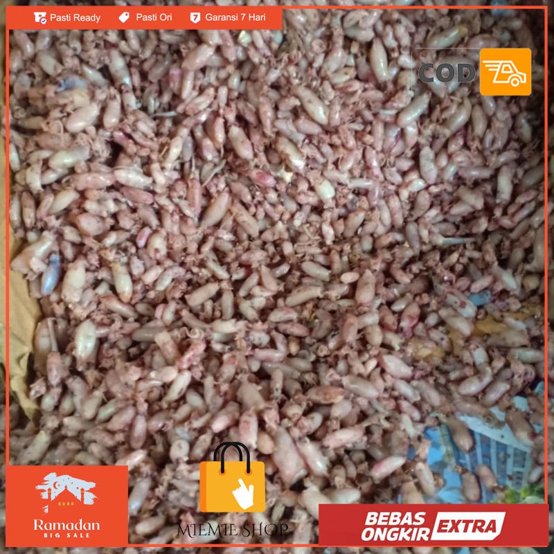 

baby cumi kering per 1kg