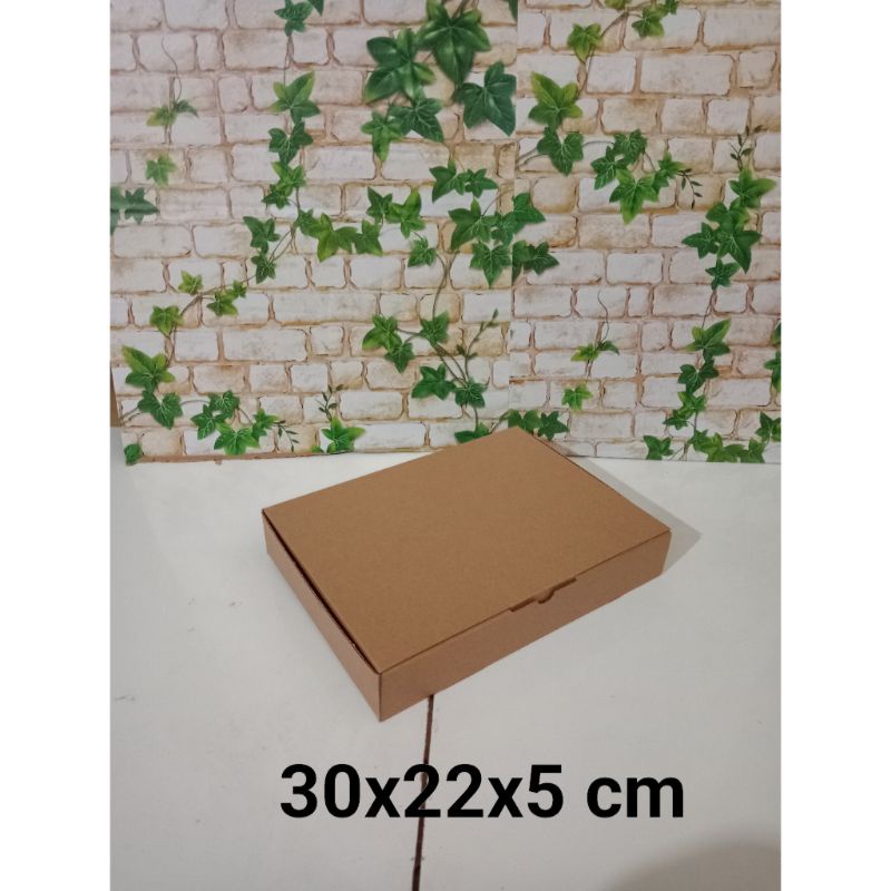 

KARDUS UK. 30x22x5 CM....DIE CUT KARTON BOX UNTUK KOTAK BAJU-AKSESORIS-SOUVENIR DLL MODEL BOX PIZZA