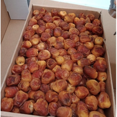 

KURMA SUKARI (BUKAN BASAH)