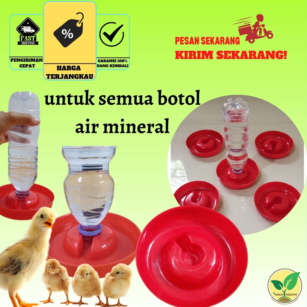 TEMPAT MINUM OTOMATIS DOC, DOD, DOQ UNGGAS PUYUH AYAM MERPATI KUCING HAMSTER