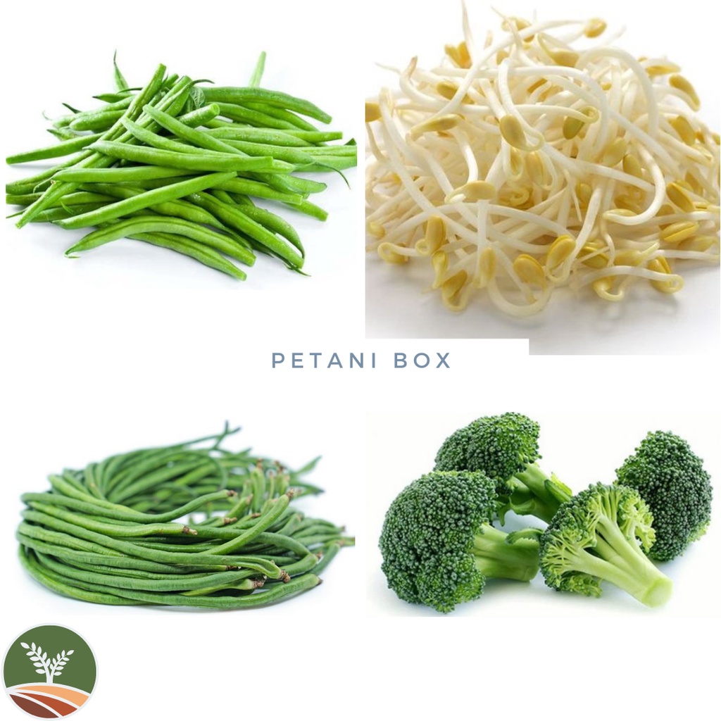 

Sayur Brokoli / Sayur Tauge / Buncis / Kacang Panjang Sayur Sayuran Segar Kota Bandung Petani Box