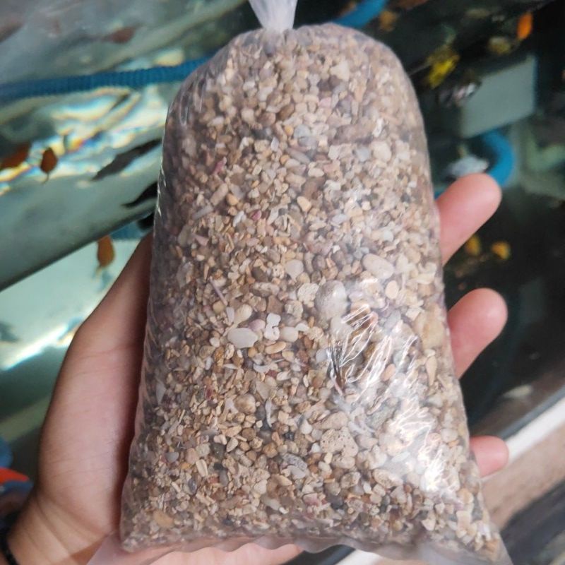 BATU KARANG PASIR KARANG HIASAN AQUARIUM HIASAN DASAR AQUARIUM PASIR PANTAI
