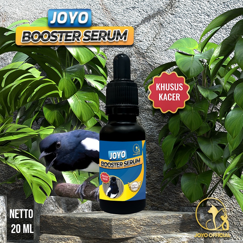 VITAMIN BURUNG KACER JUARA | OBAT PENGGACOR BURUNG KACER| STAMINA BURUNG | DOPPING BURUNG GACOR | BO