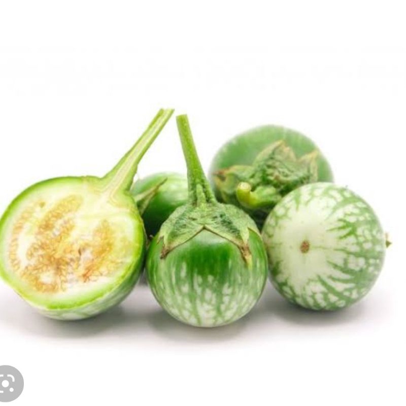 

terong lalap 250 gr