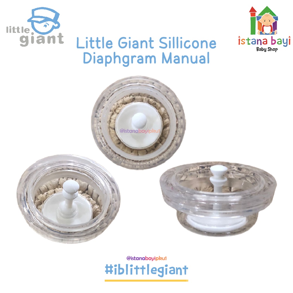 Little Giant Silicone Diaphragm Manual - Spare parts pompa asi Estilo