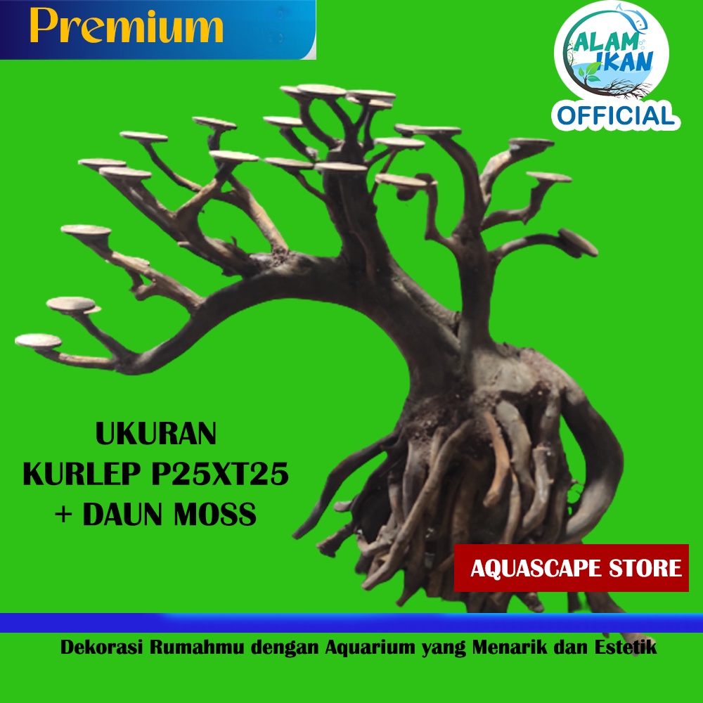 Kayu akuarium natural bonsai aquascape 40cm - 60cm