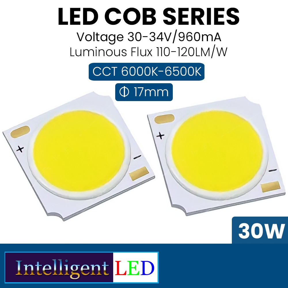 LED Source COB 30W 30-34V 960mA 19x19mm 130-150lm/W 3000K - 10.000K