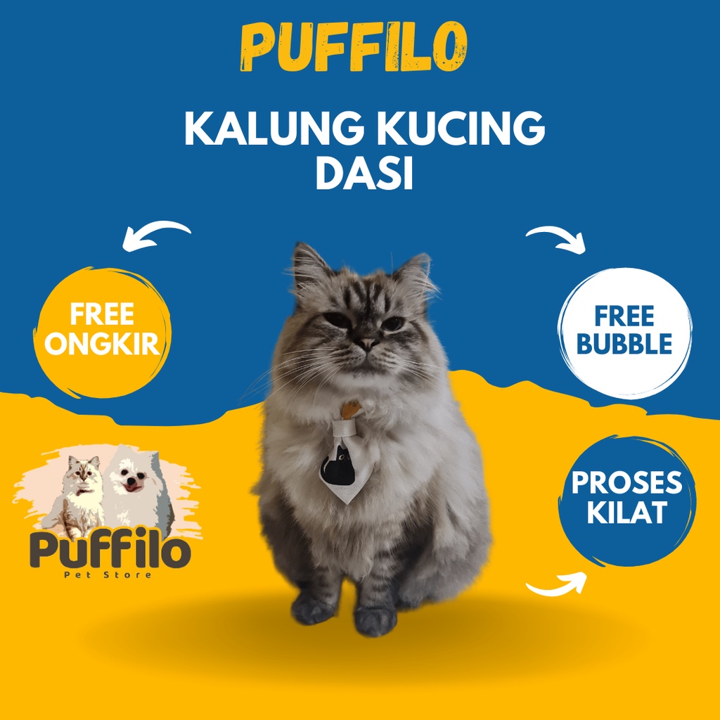 Fashion Kucing I PITA DASI KUCING  Lucu dan Gemes