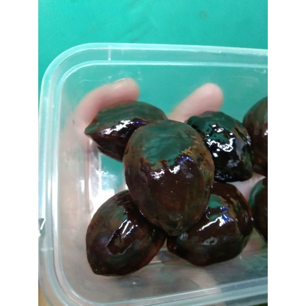 muncang adu jayanti jawa