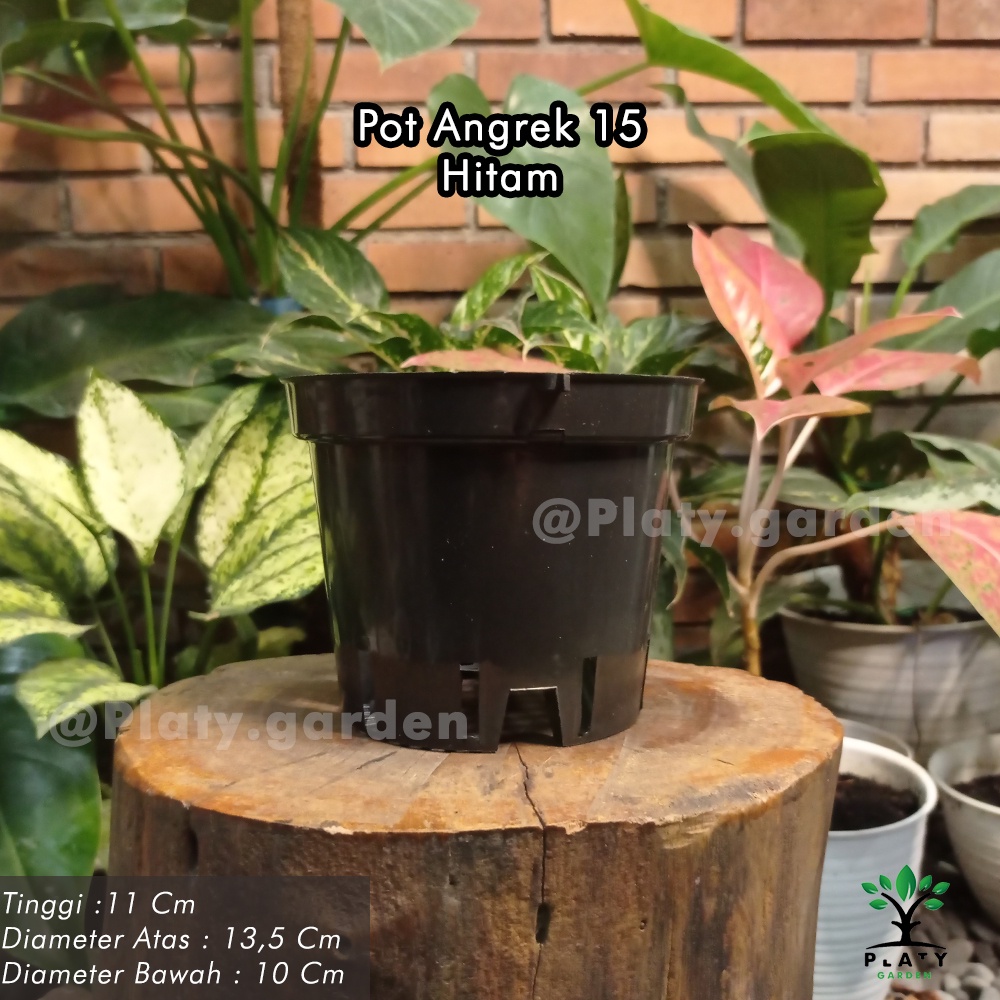 Pot Anggrek Hitam | Ukuran 15 17 20