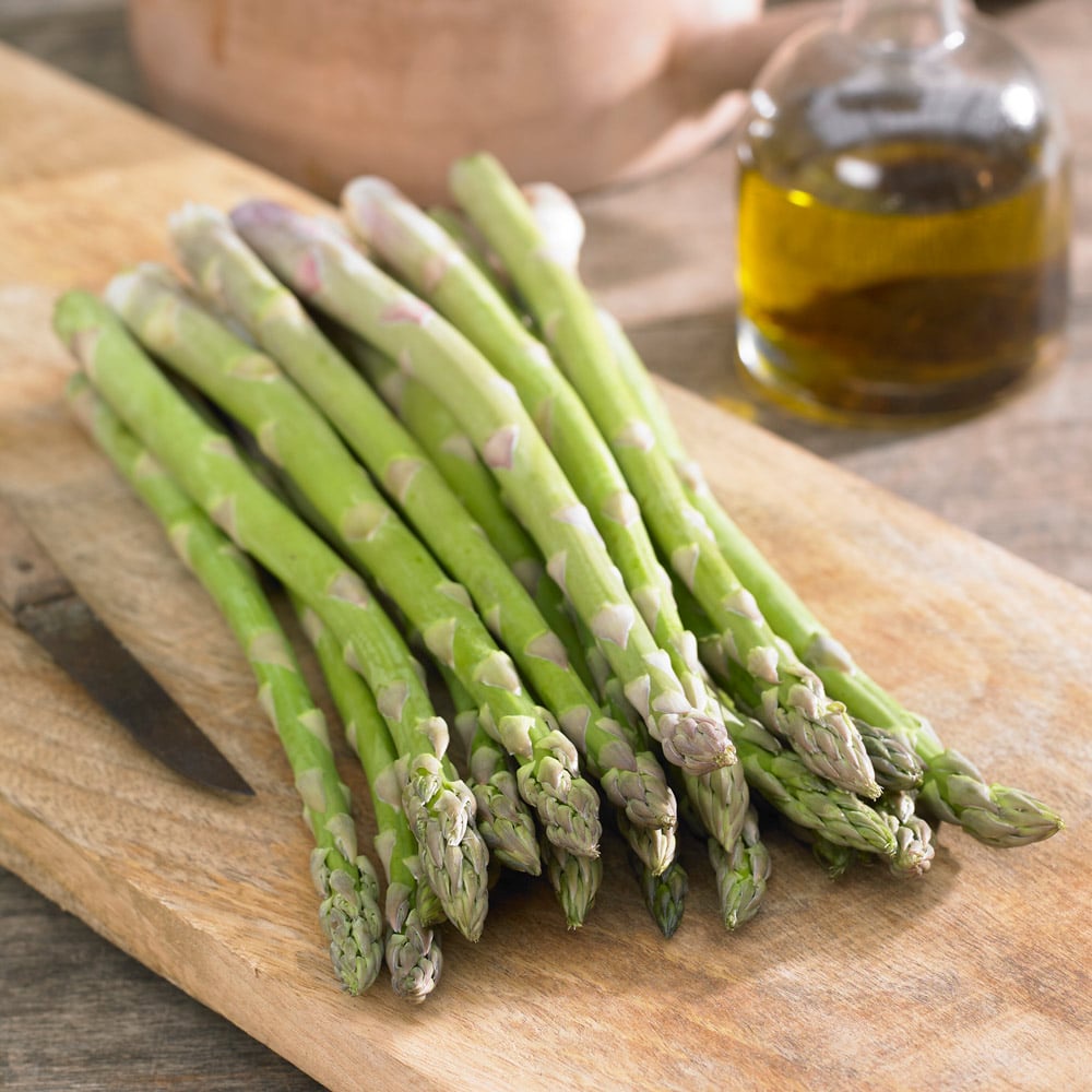 Benih Bibit Biji - Asparagus Mary Washington Seeds - IMPORT