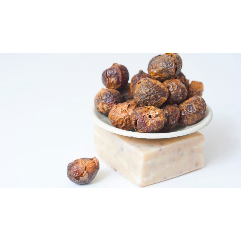 

Biji Lerak Buah Lerak 500gram