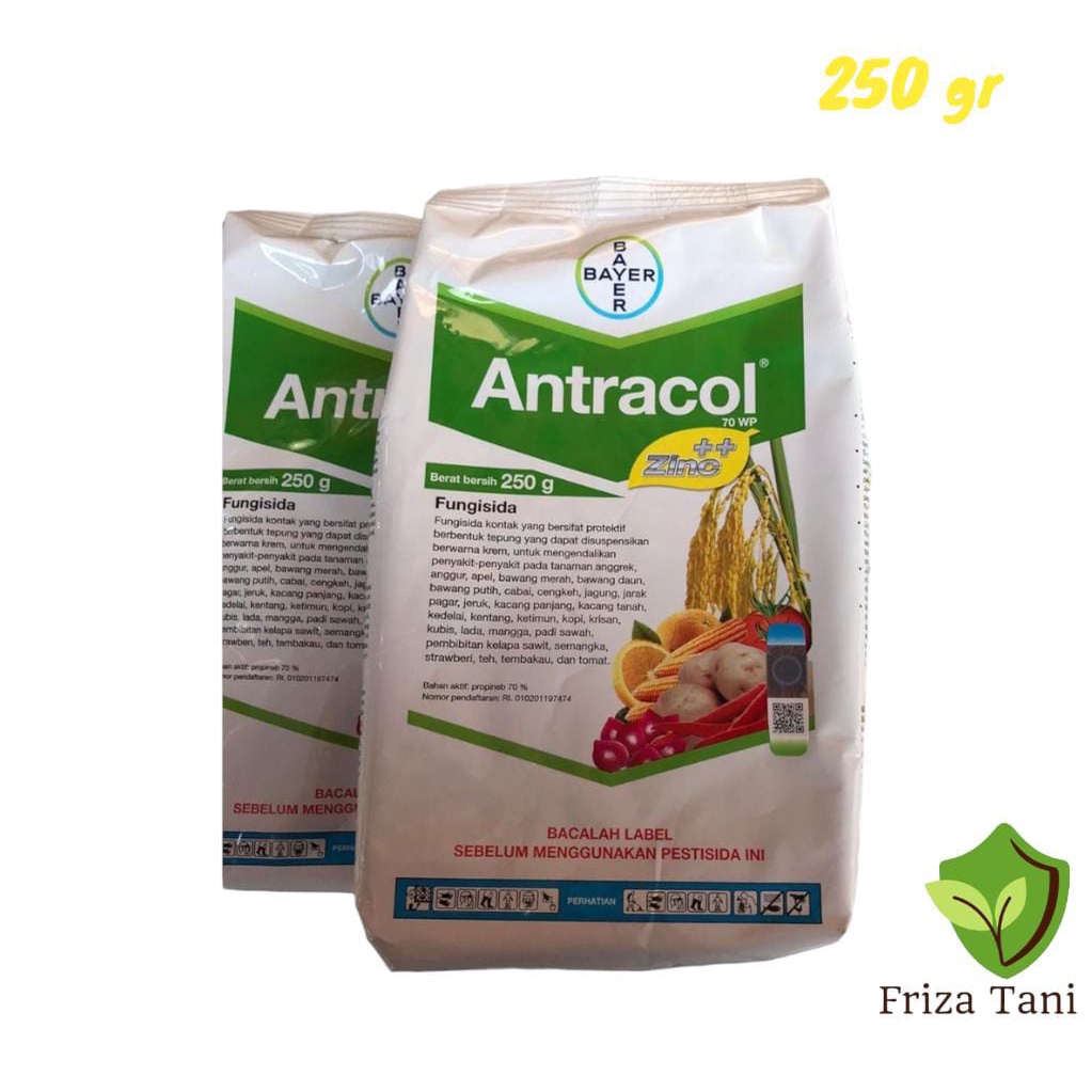 Fungisida Antracol 250gr Obat Anti Jamur Pada Tanaman - Antracol Fungisida Anti Jamur