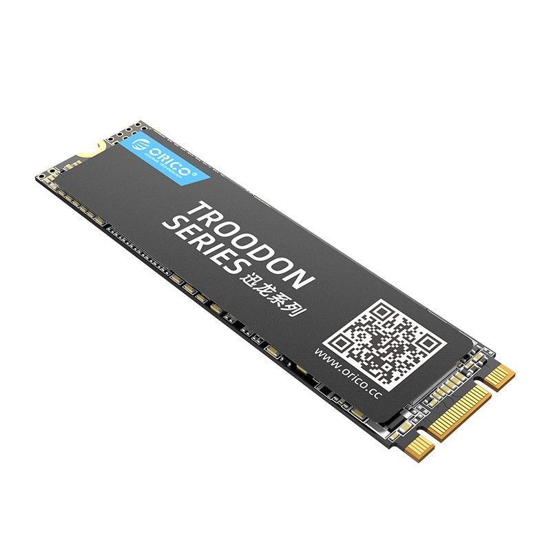 Orico N300-1TB SSD Soket M.2 SATA 2280 TROODON SERIES 3D NAND Flash