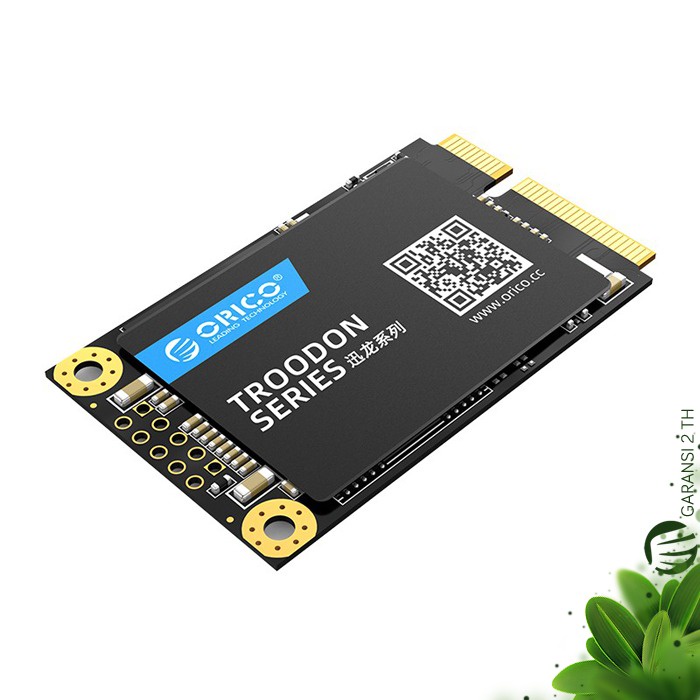 mSATA SSD ORICO M200 Soket Solid State Drive Troodon Series - 256GB