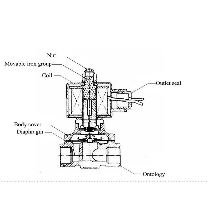 Electric Solenoid Water Valve Stainless Steel 220V 3/4 Inch 2W-200-20B Pemutus Aliran Listrik