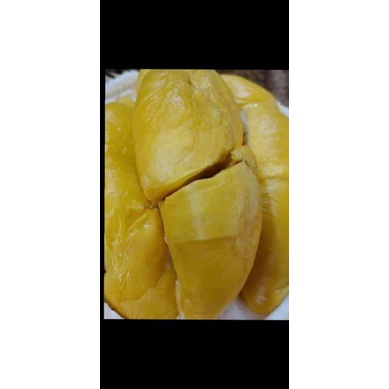 

Durian Montong