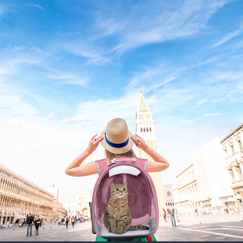 Tas kucing astronot Tas kucing Keranjang kucing tas astronot kucing tas kucing ransel Ransel kucing Gendongan kucing tas ransel kucing Tas hewan Travel Bag Cat Bag