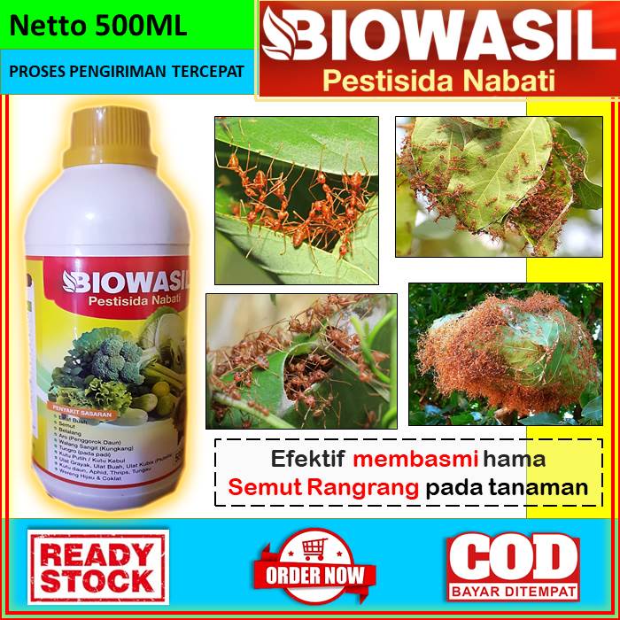 OBAT ANTI HAMA SEMUT RANGRANG PADA TANAMAN  [BIOWASIL] Obat Cair Pestisida Nabati Anti Hama 500ml Be