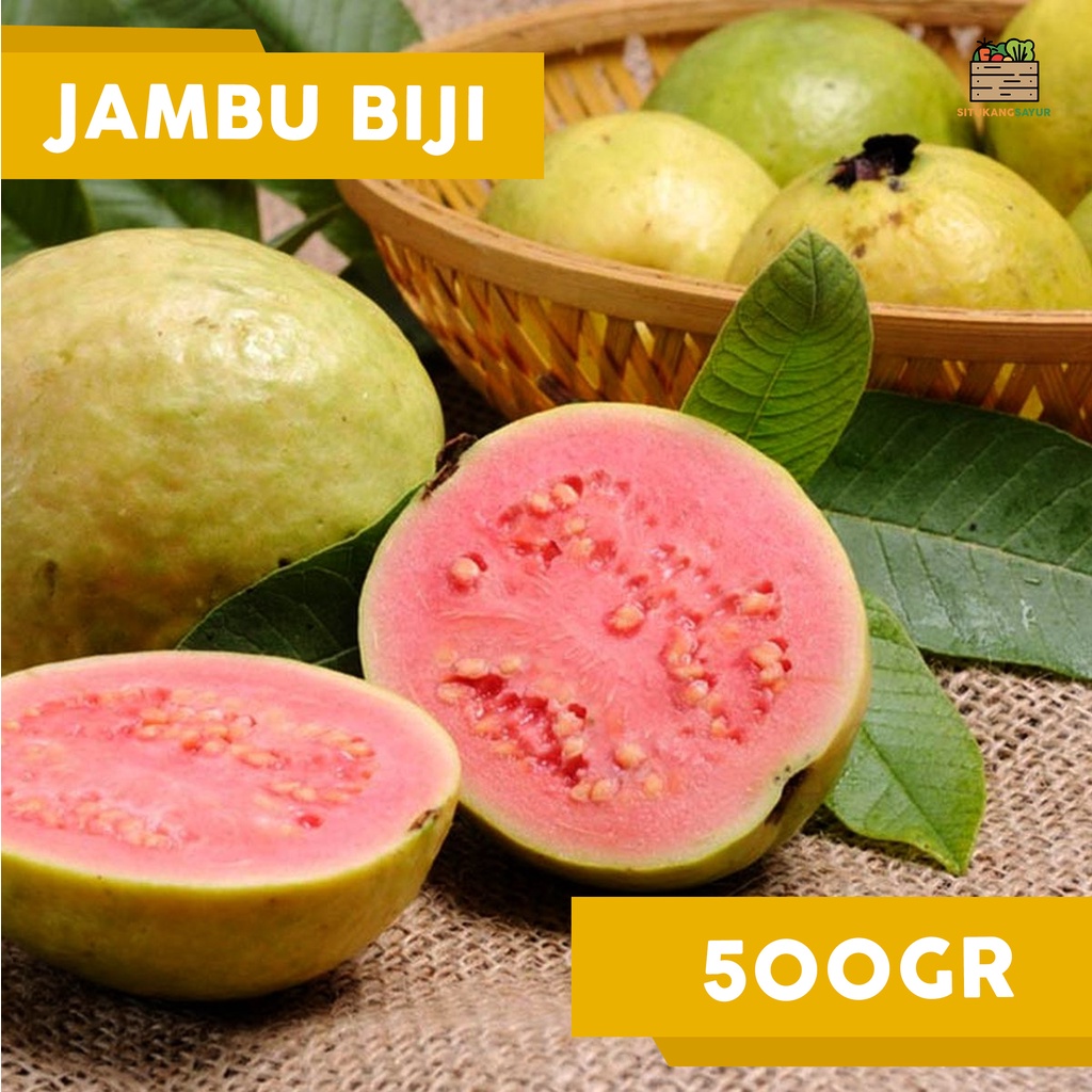

Jambu Biji | ±500gr (Kota Bandung & Sekitar)