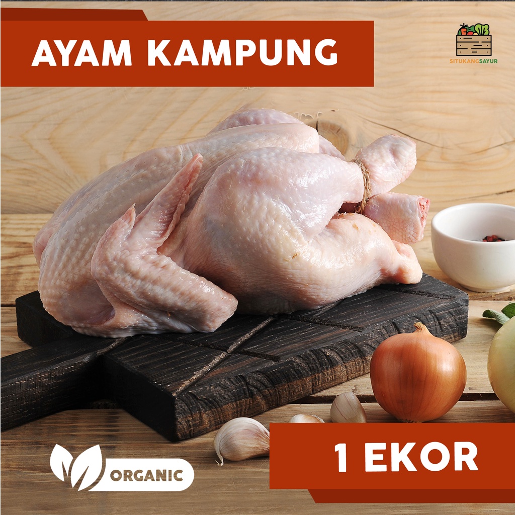 

Ayam Kampung Organik | Sedang Besar Jumbo (Kota Bandung & Sekitar)