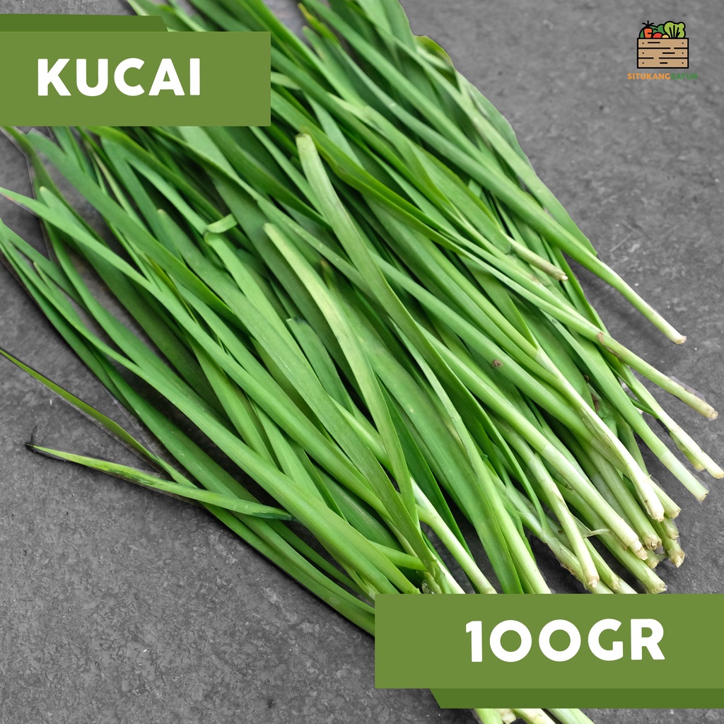

Sayur Kucai | 100gr (Kota Bandung & Sekitar)