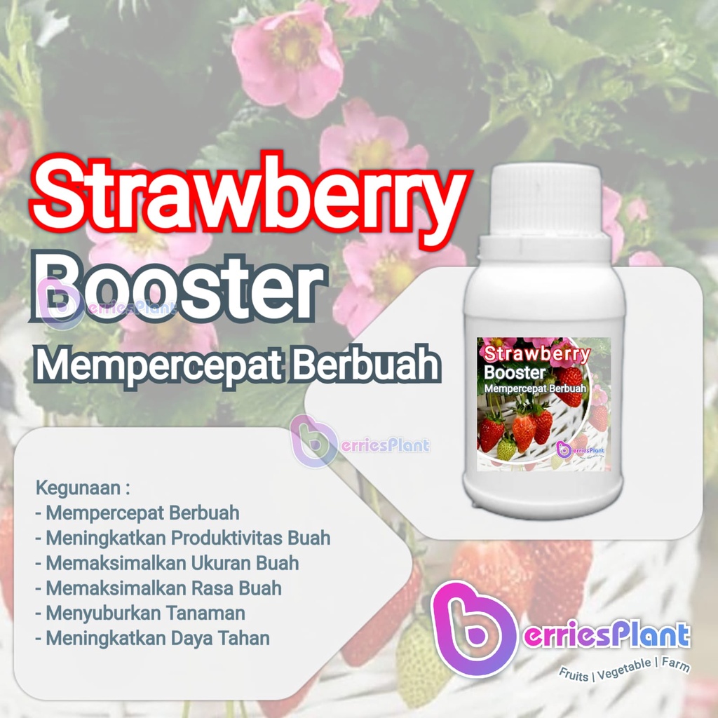 Booster Strawberry SUPER | Mempercepat Berbuah | Perangsang Bunga  |  Perangsang Buah | Cepat Berbua