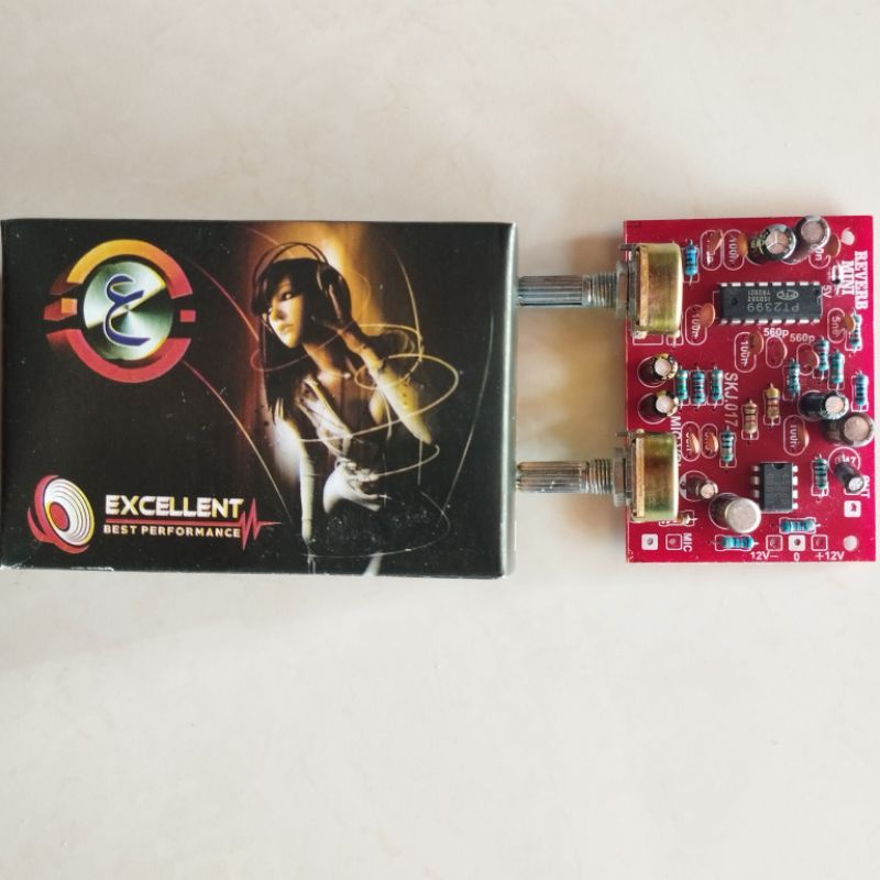 Echo reverb mini 2 pot