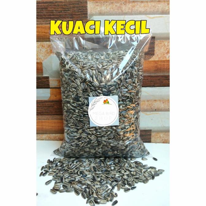 

STOK TERBATAS BIJI KUACI / KWACI BIJI BUNGA MATAHARI 1KG UNTUK BURUNG & HAMSTER