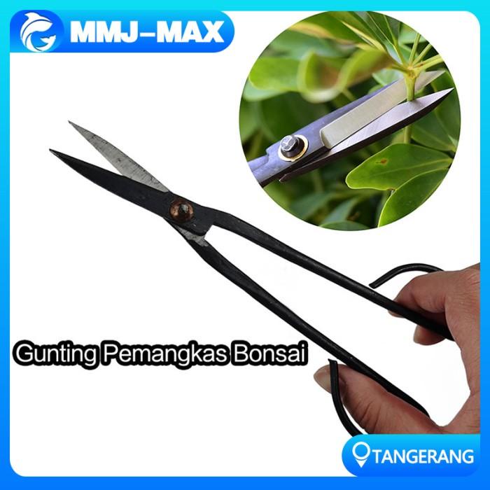 Terlaris Gunting Pemangkas Bonsai/Long Handle Bonsai Pruning Scissor